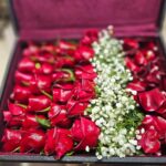 گل برای ولنتاین (عاشقانه)